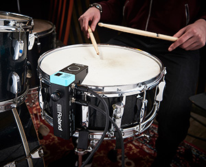 RT-MicS Features 1