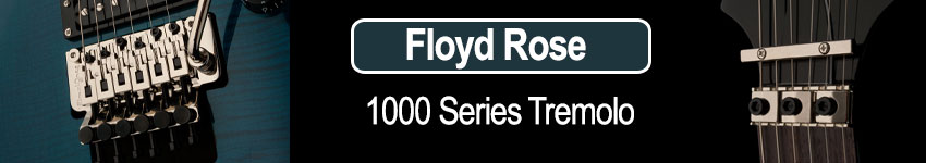 PRS SE Custom 24 Floyd Rose 1000 Series Trem